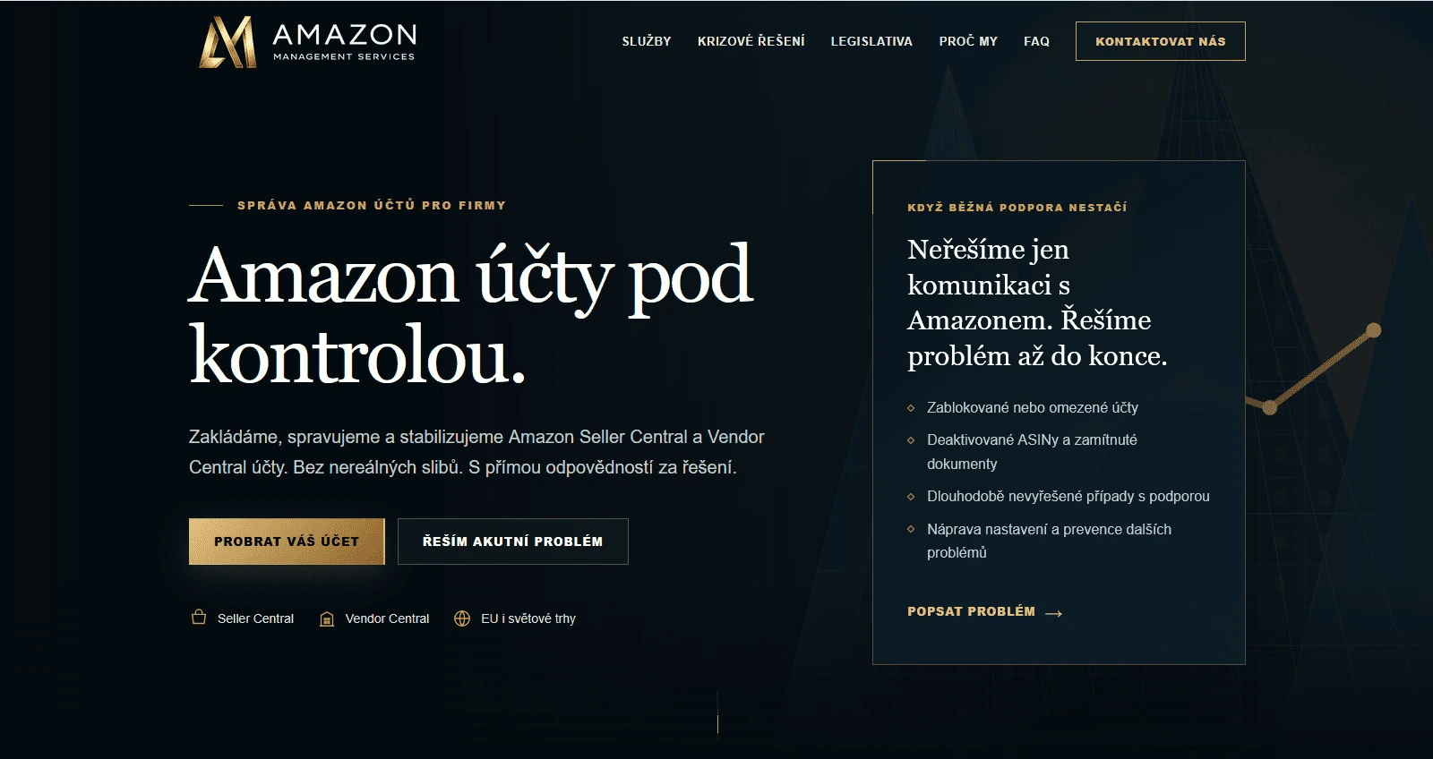 Náhled webu AM Services